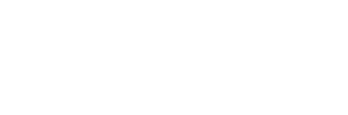 Magento Partner